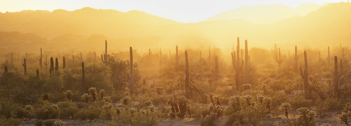 Desert Mountain,AZ