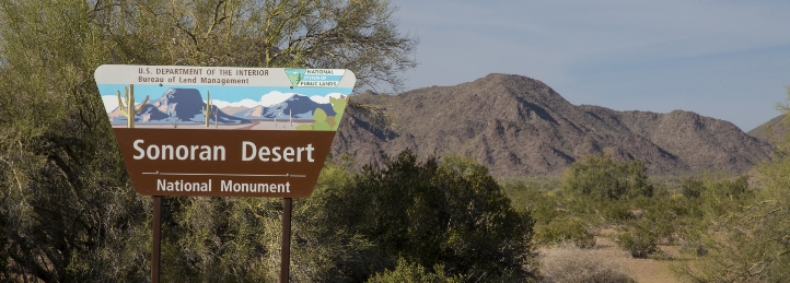 Desert Mountain,AZ